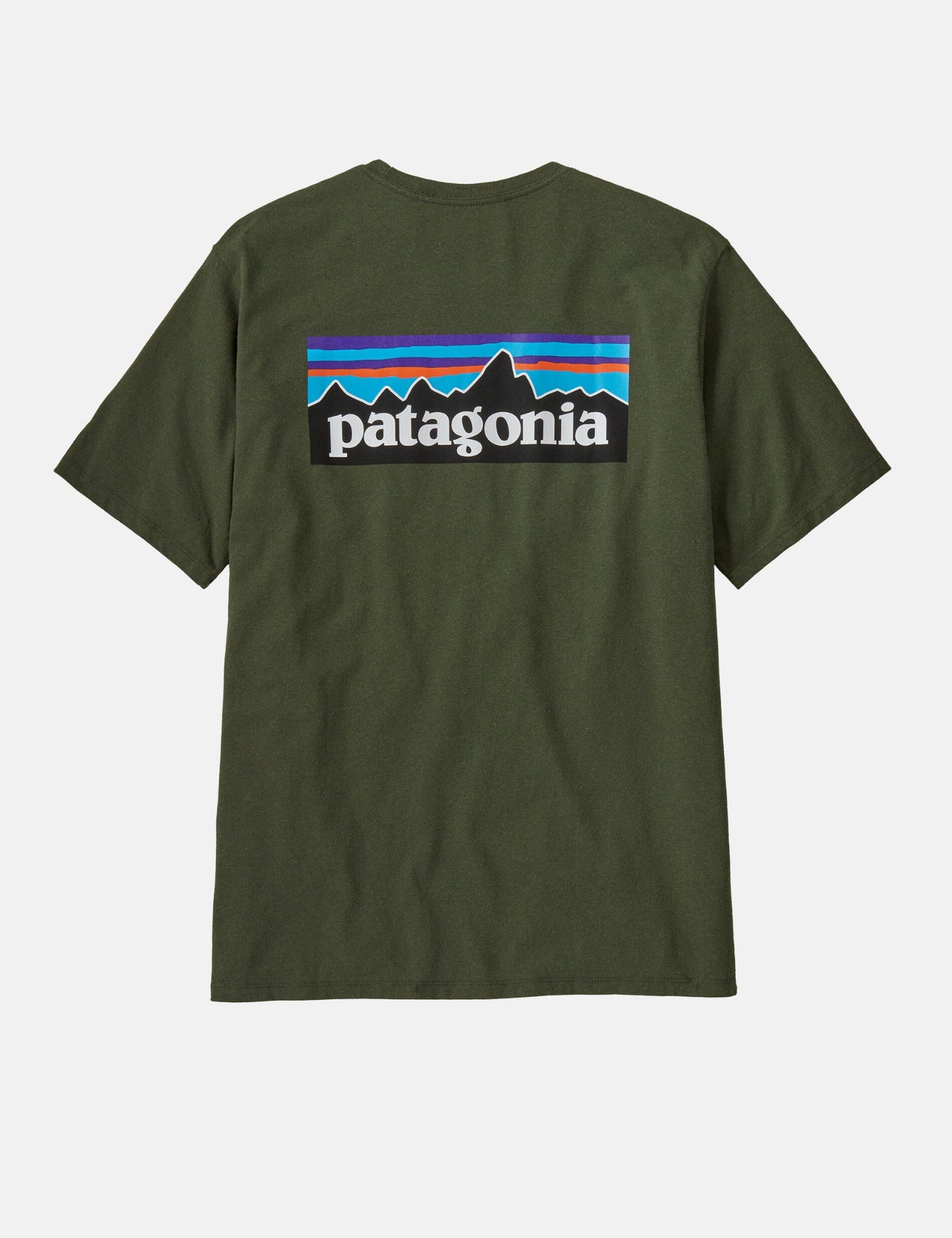 Pata P-6 Logo Responsibili-Tee T-Shirt - Torrey Pine Green